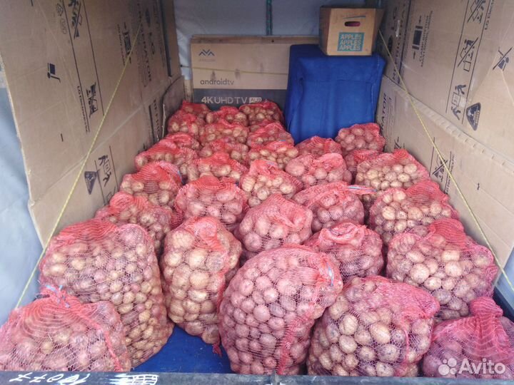 Грузоперевозки до 5 м3, 800 кг