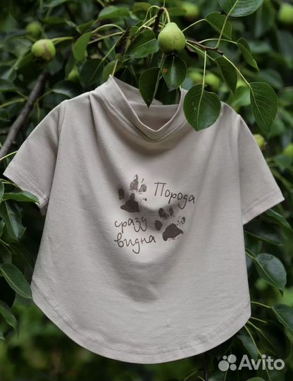 Футболка для собак