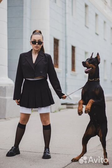 Фотосессия с доберманом