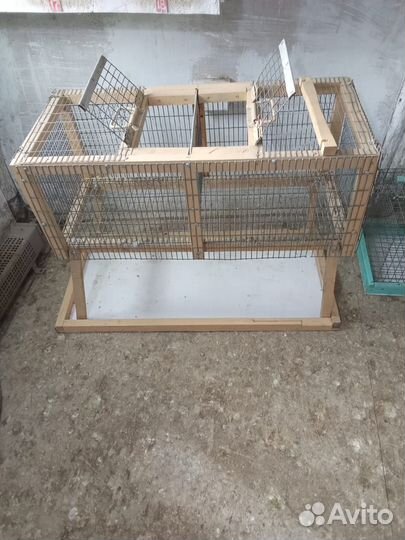 Инвентарь для голубей