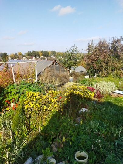 Дача 20 м² на участке 6 сот.