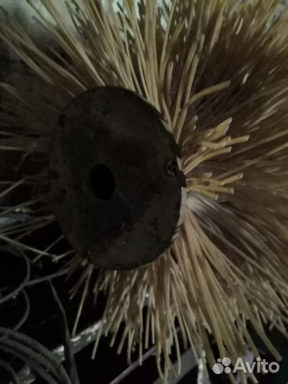 Щётка подметальная