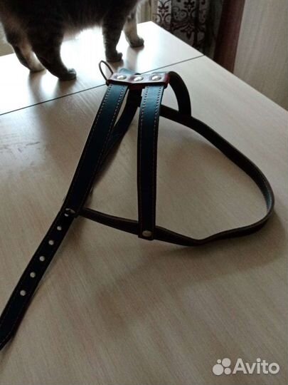 Шлейка для большой собаки