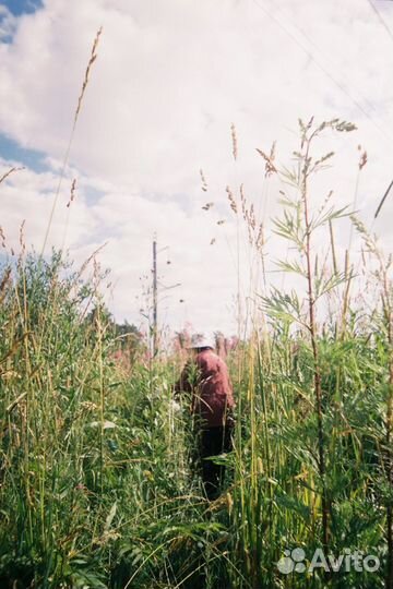 Пленочный фотоаппарат