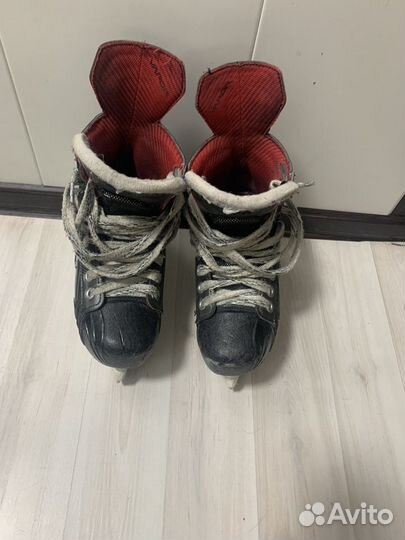 Коньки vapor x800 и bauer supreme one 9