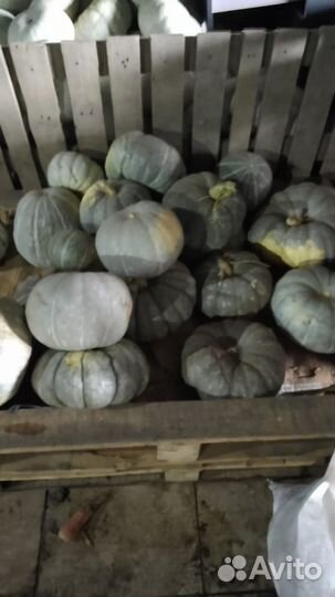 Тыква, арбуз, овощи и легендарная том паста