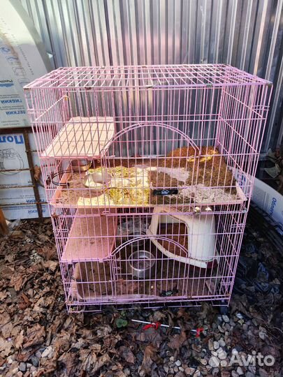 Клетка для кошек midwest cat playpens