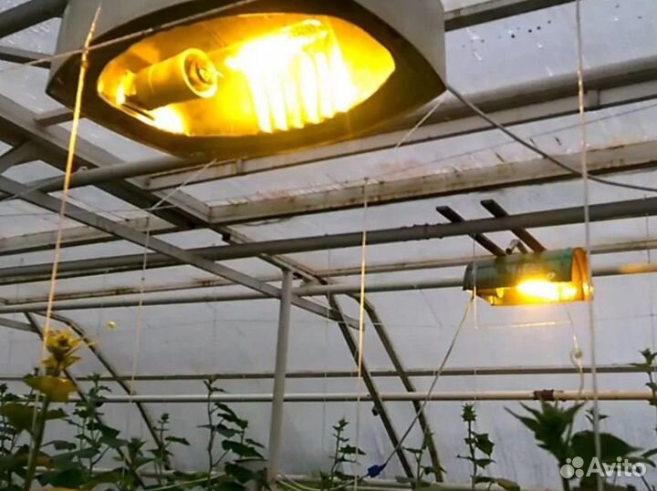 Лампы для растений днат (HPS) и мгл (MH)