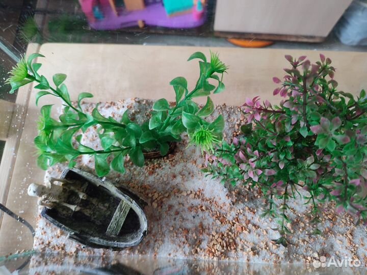 Аквариум для рыб 30 литров