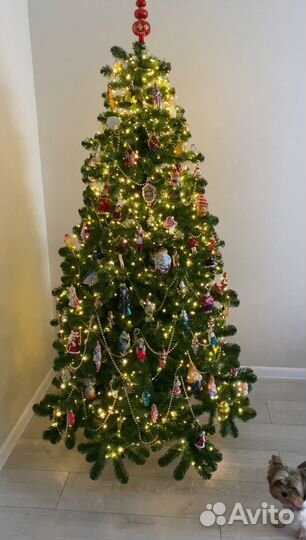 Елка 200 Triumph Tree Санкт-Петербург