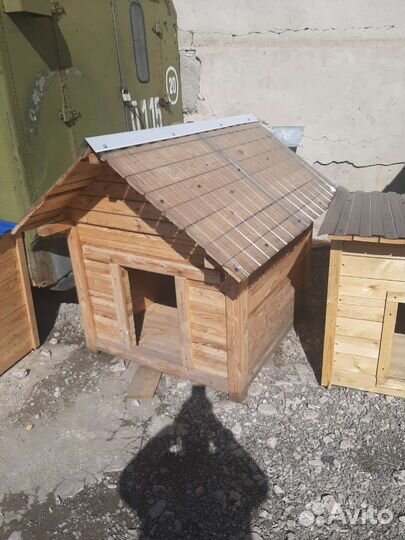 Собачья будка