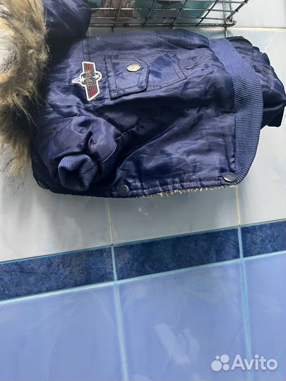 Комбинезон для собаки