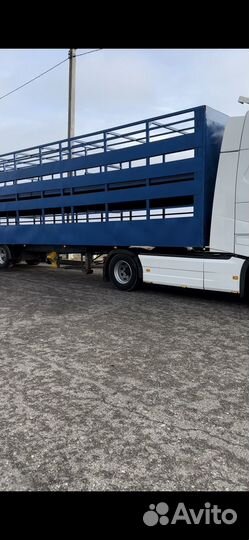 Полуприцеп для перевозки скота Pezzaioli SBA63, 2001