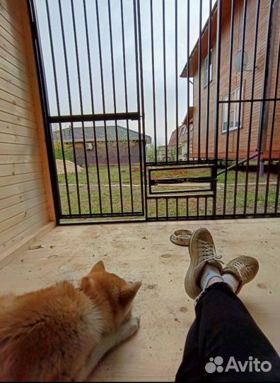 Вольер для щенков