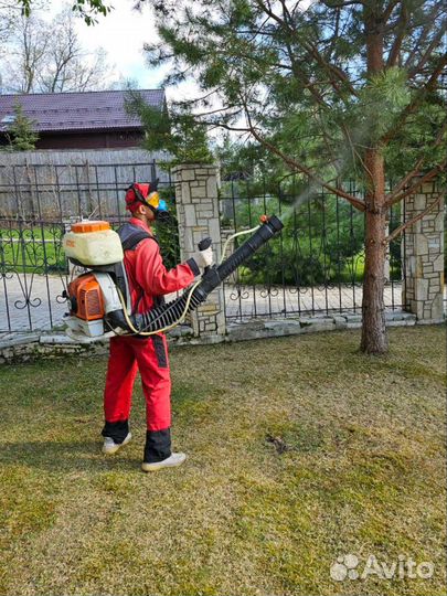 Дезинфекция