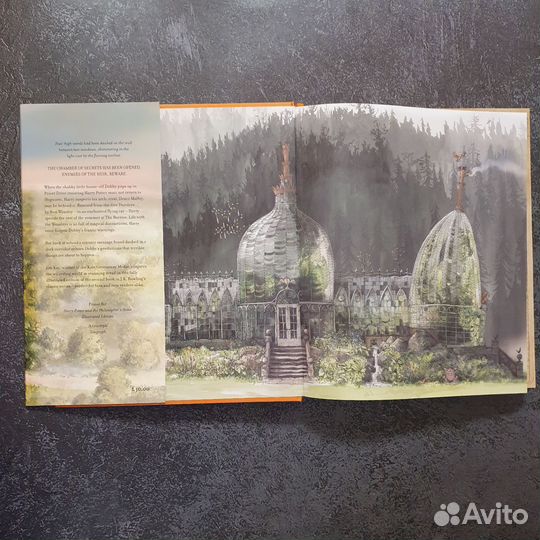 Harry Potter and the Chamber of Secrets