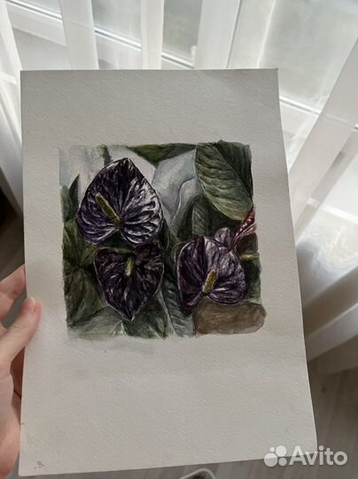 Картина ботаническая иллюстрация акварель