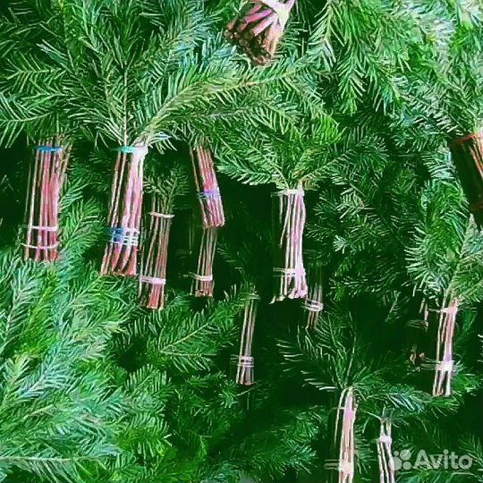 Веники пихтовые от производителя