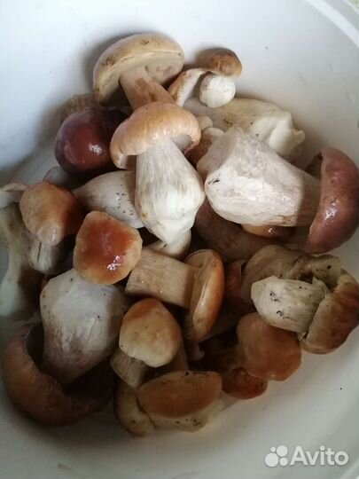 Продукты питания