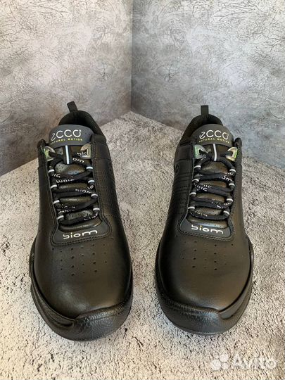 Кроссовки мужские Ecco Biom C-Trail