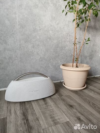 Harman kardon go play