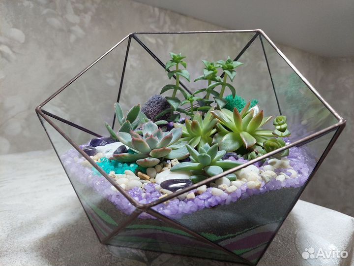 Флорариумы