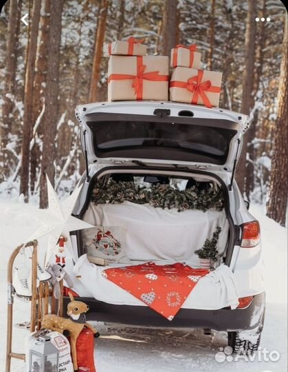 Новогодняя фотосессия фотодня