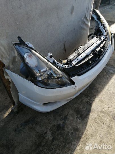 Nose cut Toyota Wish ZNE10