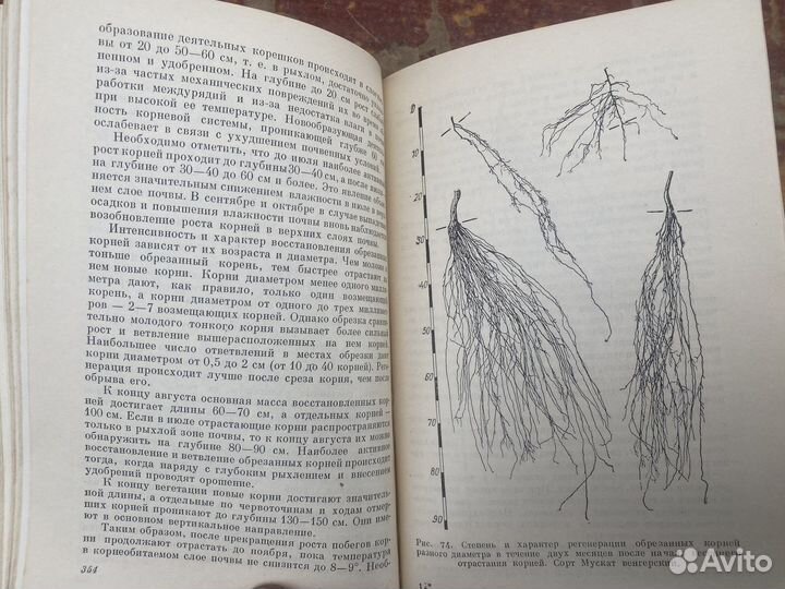 Виноградство книга 1960 год