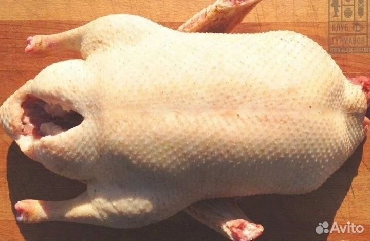 Мясо бройлера