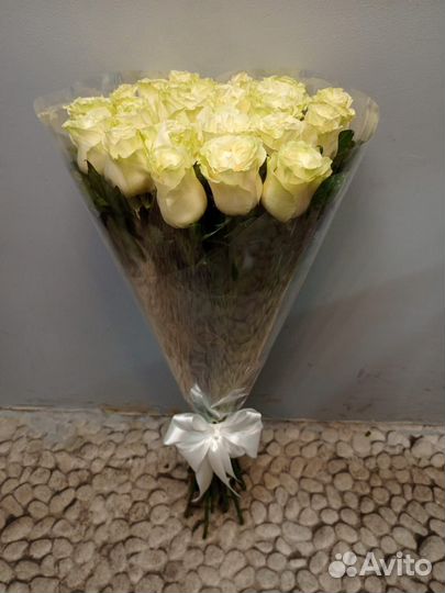 Розы гиганты 140 150 160 170 180 200