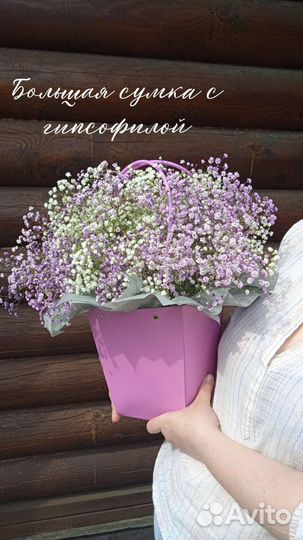 Гипсофилы XXL