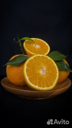 Предметный фотограф