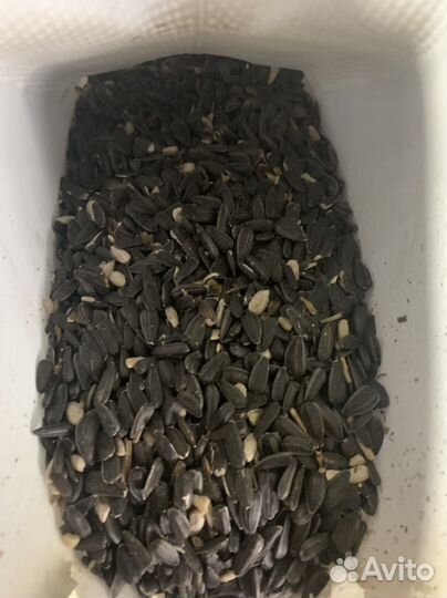 Семечки подсолнечника в мешках