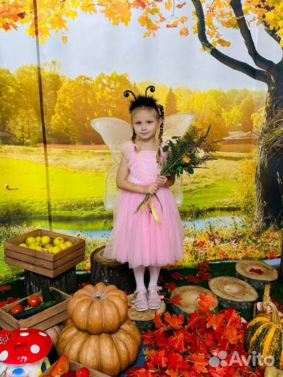 Костюм самой красивой бабочки)