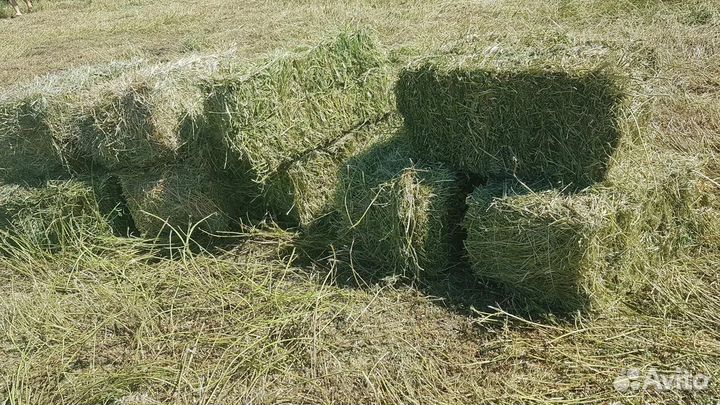 Сено Солома в тюках