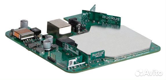 Ruckus R310