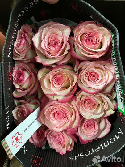 Прямые поставки от теплицы. Роза На выбор от 15 шт