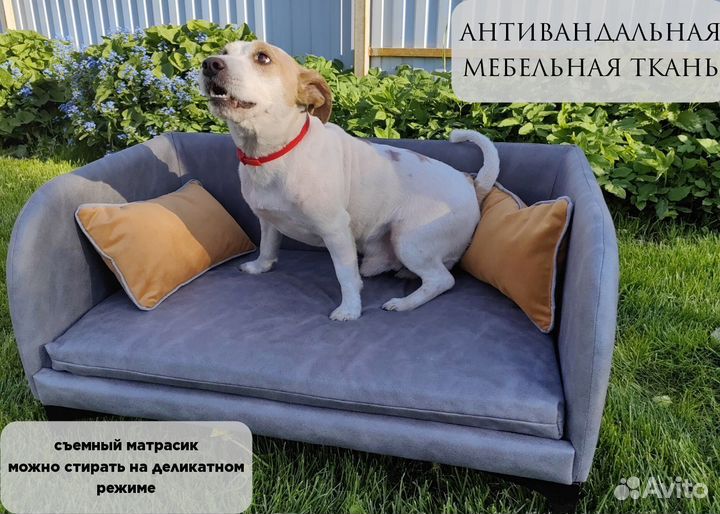 Зоодиван для животных