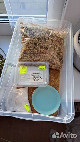 Товары, набор для улиток