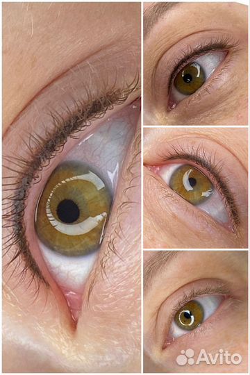 Мастер бровист