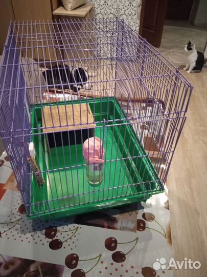 Клетка для грызунов бу