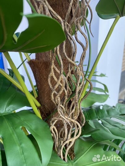 Монстера искусственная