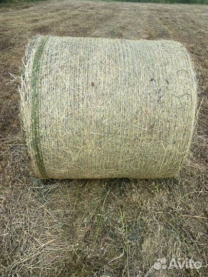 Сено в тюках