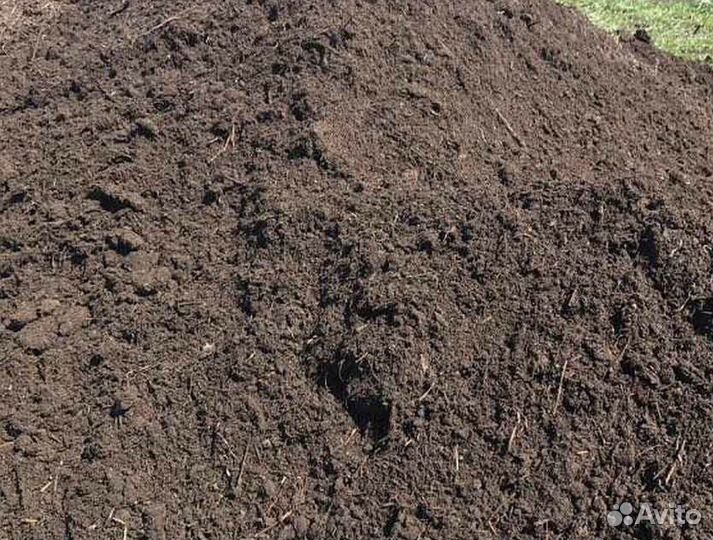 Перегной навоз
