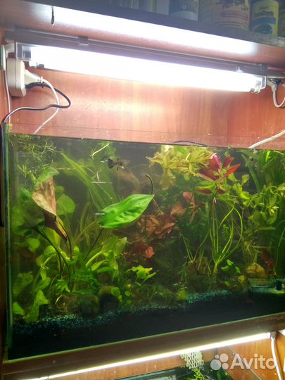 Аквариумные стойки и оборуд