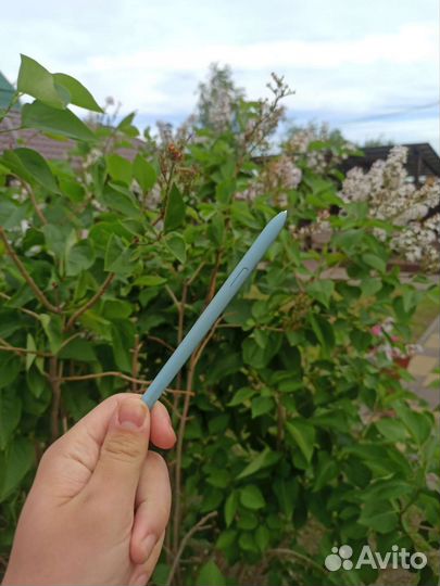 Samsung Galaxy Tab S6 Lite 2022