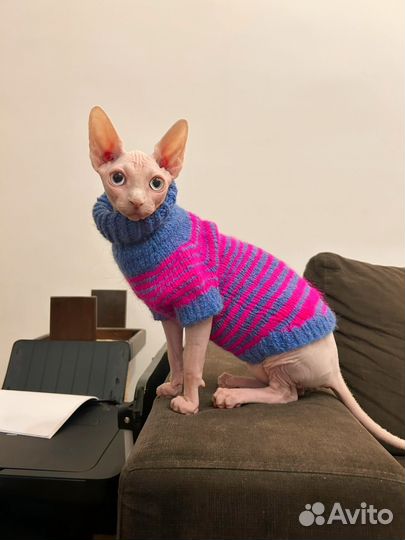 Одежда для собак и кошек