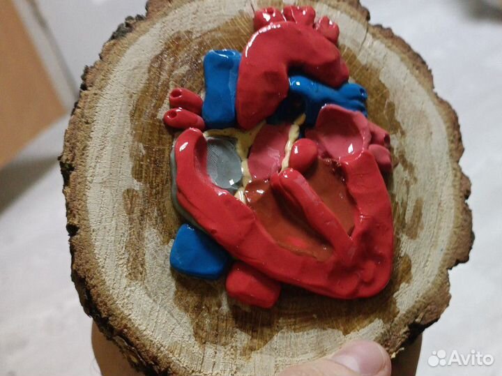 Макет сердца, творческая работа, поделка