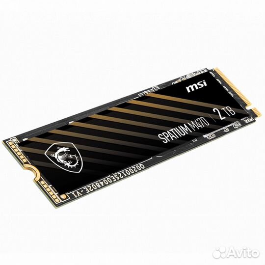 Внутренний жесткий диск MSI spatium M470 519292